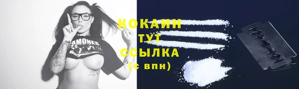 винт Богородицк
