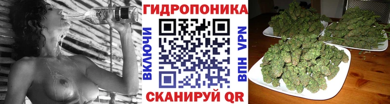 Каннабис план Миллерово